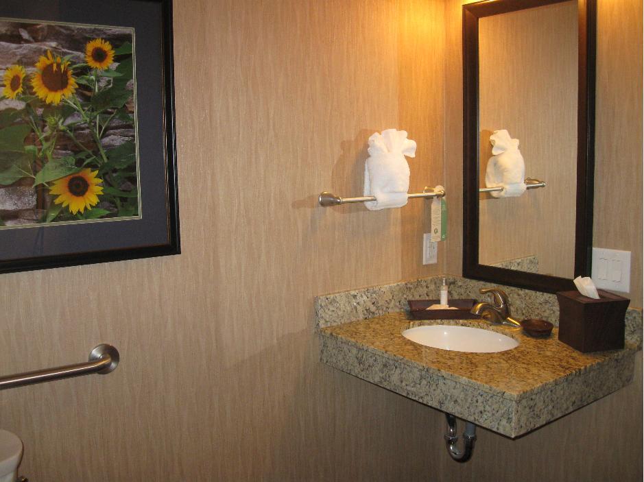 Little Missouri Inn & Suites Watford City Rum bild
